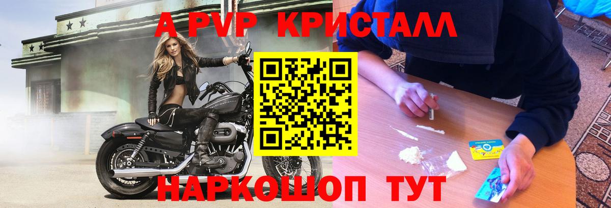 Alfa_PVP крисы CK  Вход с VPN  Альфа ПВП СК  Строитель 