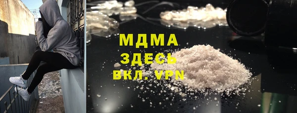 стаф Алзамай