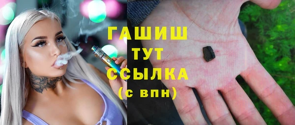 стаф Алзамай