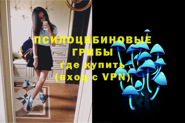 стаф Алзамай