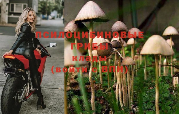 mdpv Алексин