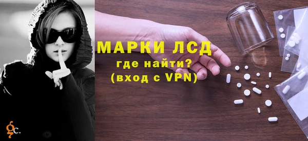стаф Алзамай