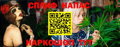 соль ск Камышлов
