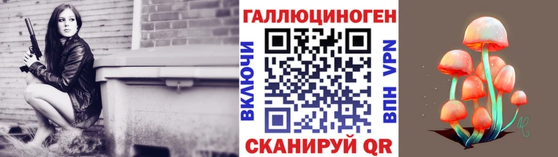Галлюциногенные грибы мицелий ссылка на мегу как войти Строитель