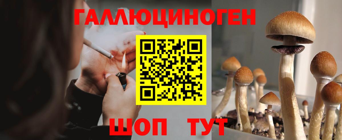 Псилоцибиновые грибы мухоморы Строитель