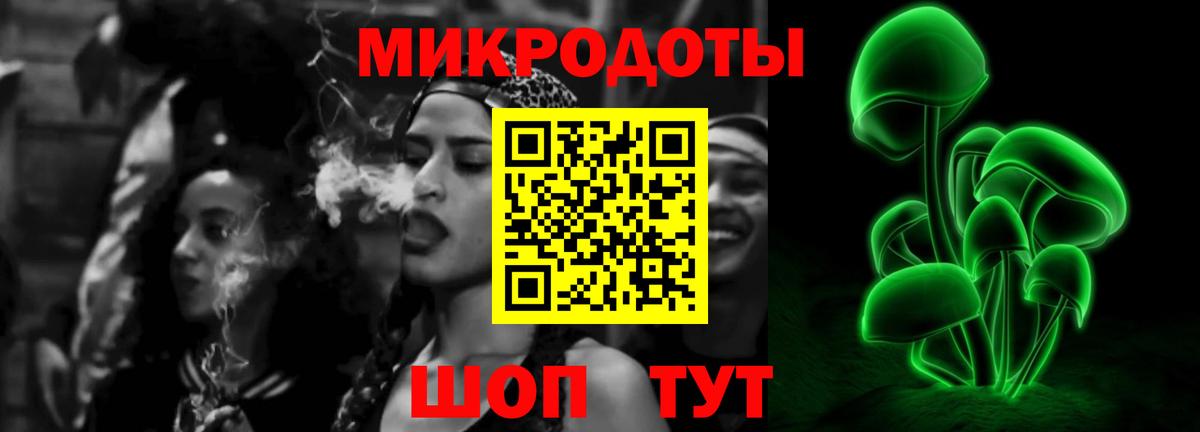 Галлюциногенные грибы MAGIC MUSHROOMS  Вход с VPN  Строитель 